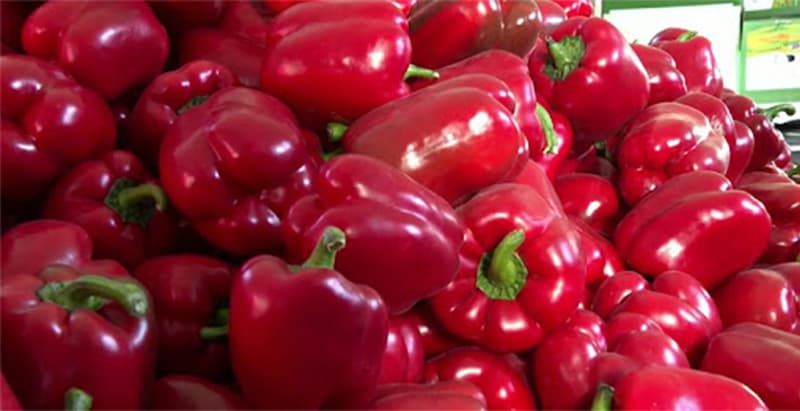 images/1740384243201bell pepper sorting machine.jpg